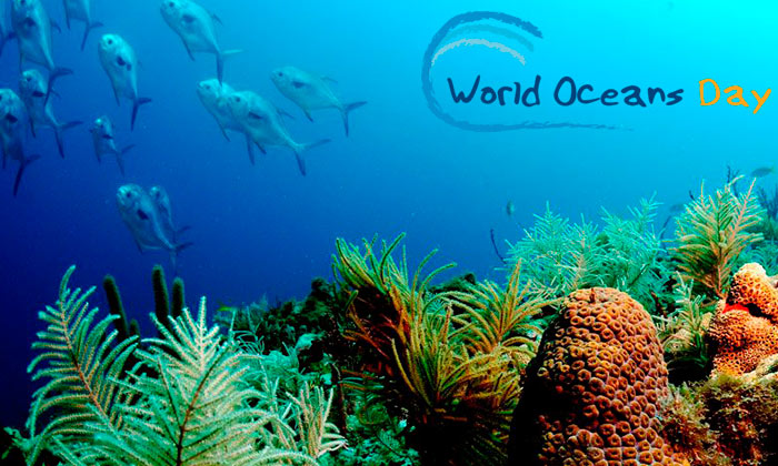 Día mundial de los océanos 