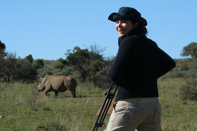 Grabando rinoceronte blanco